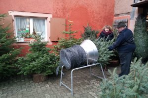 Unsere eigenen Weihnachtsbäume werden verkauft.